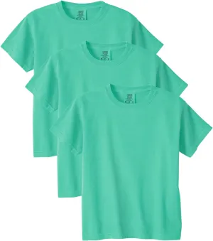 Comfort Colors Kids' Ring Spun T-Shirt, 3-Pack, Style G9018